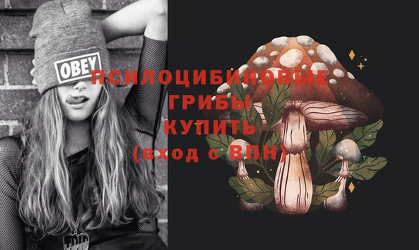 jwh Алзамай